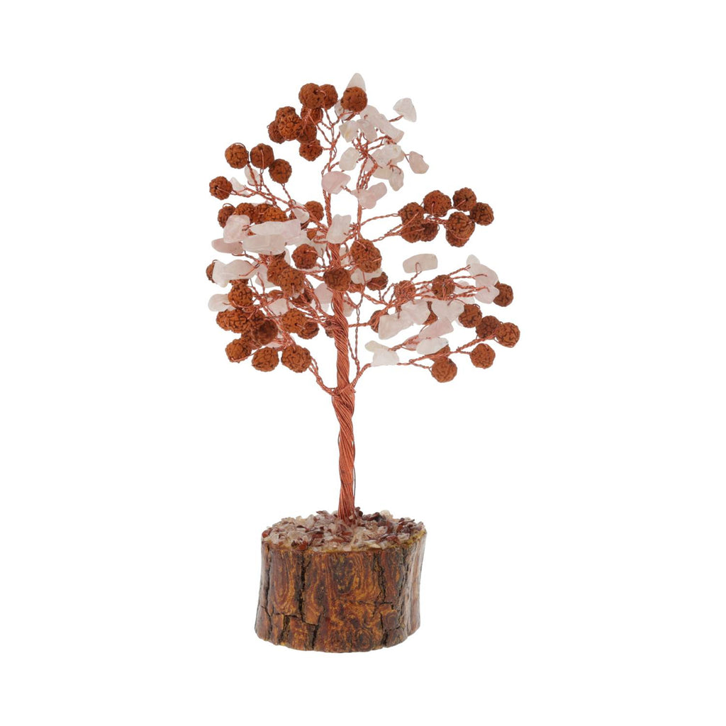 rozenkwarts edelsteenboom, Rudraksha (18 cm)