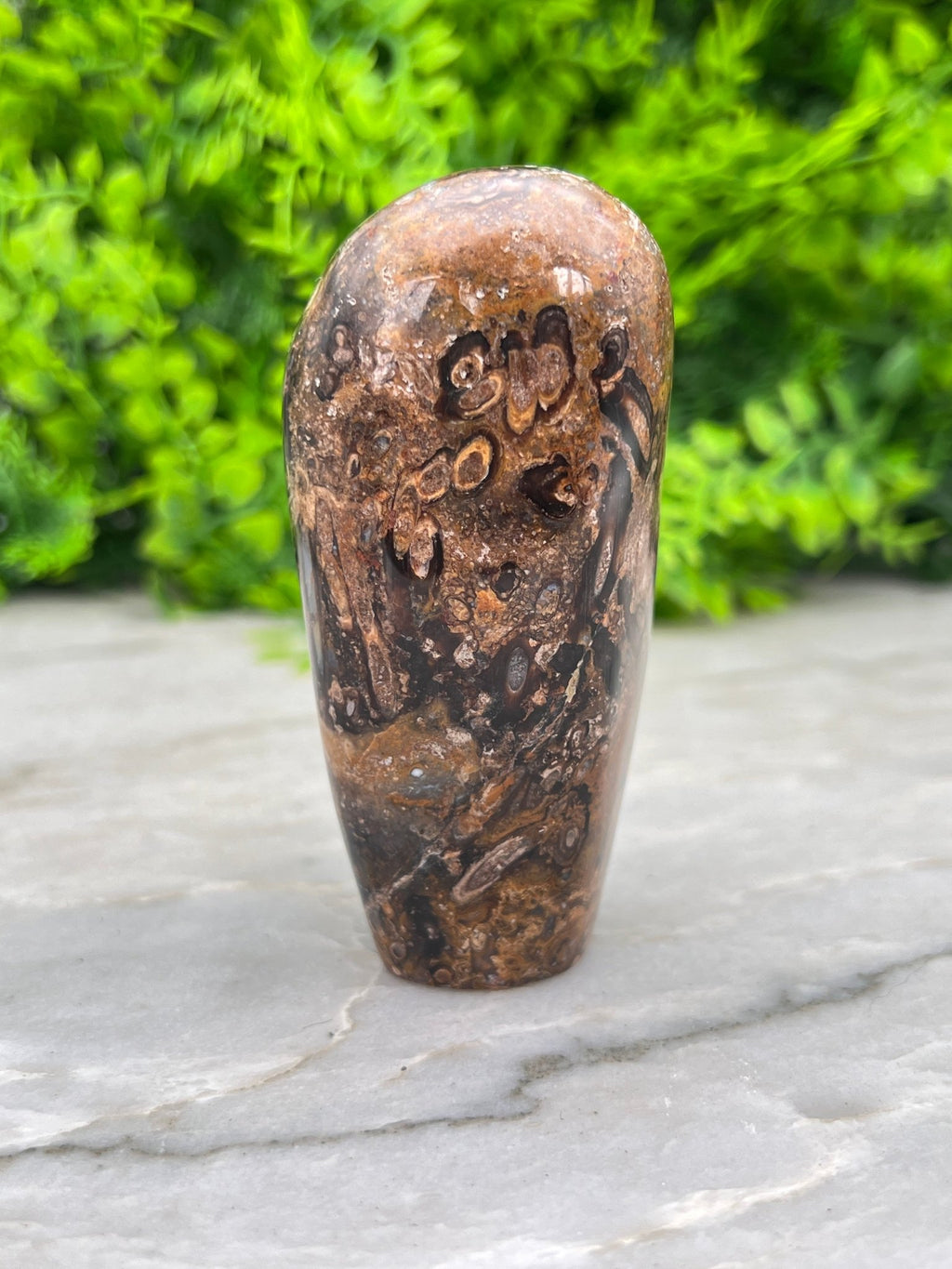 Rotes Palmenfossil, Freiform (8 cm) von KEY LIME STORE
