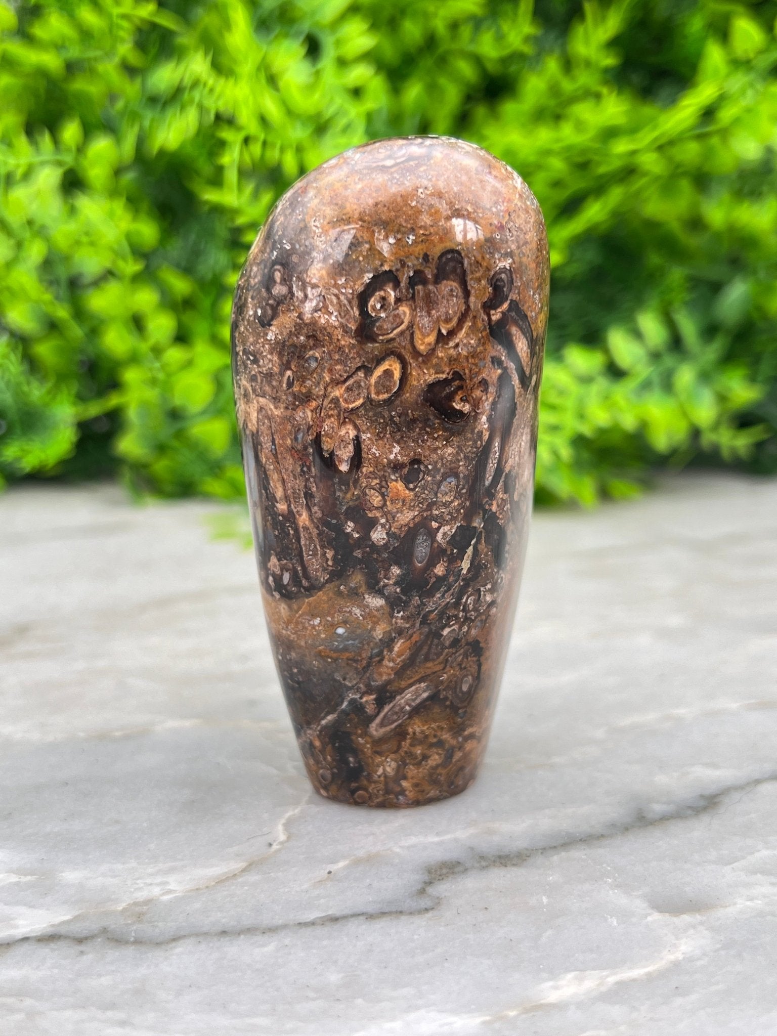 Rotes Palmenfossil, Freiform (8 cm) von KEY LIME STORE