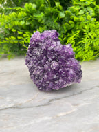 Amethist cluster pine by KEY LIME STORE