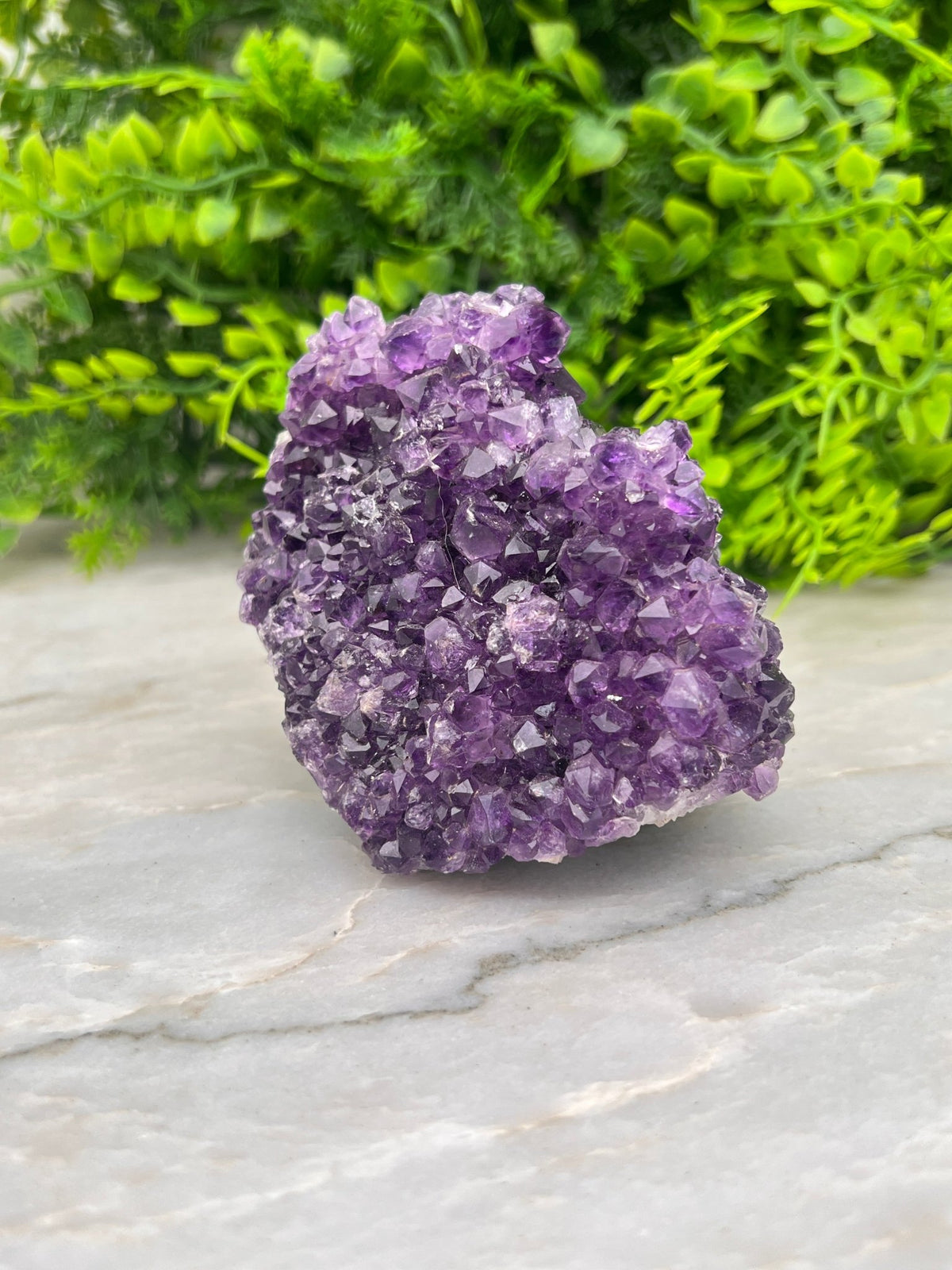 Amethist cluster pine by KEY LIME STORE