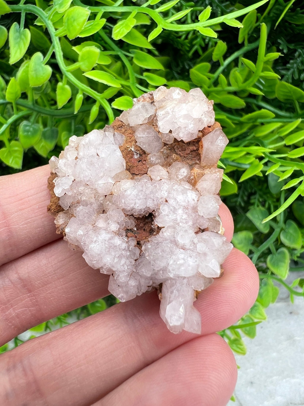 Rosa Amethyst-Cluster (4 cm) von KEY LIME STORE