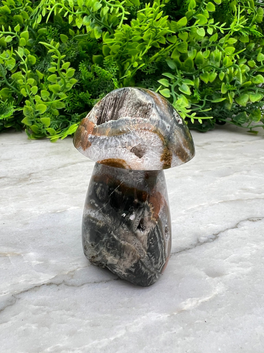 Pilz aus Mosagat (8 cm) von KEY LIME STORE