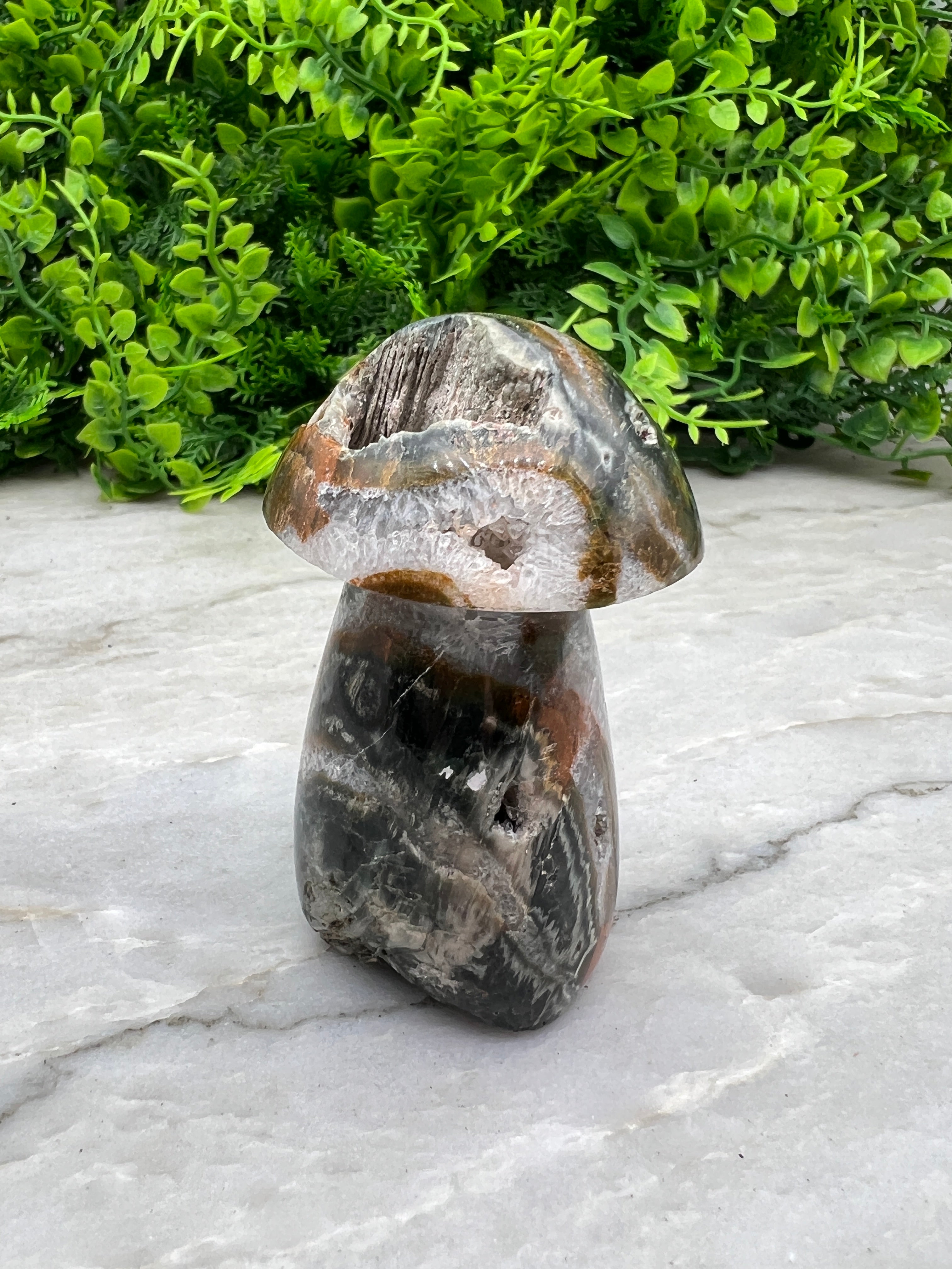 Mosagaat paddenstoel (8 cm)