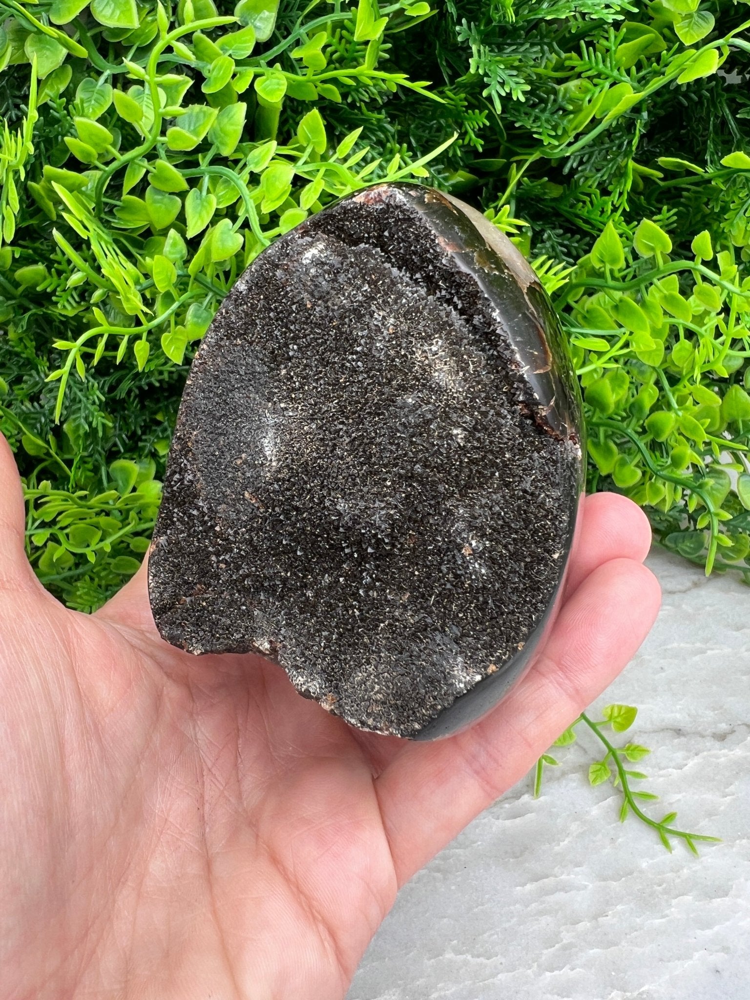 Druzy-Septarie, eiförmig geschliffen, mit Sockel (532 Gramm) von KEY LIME STORE