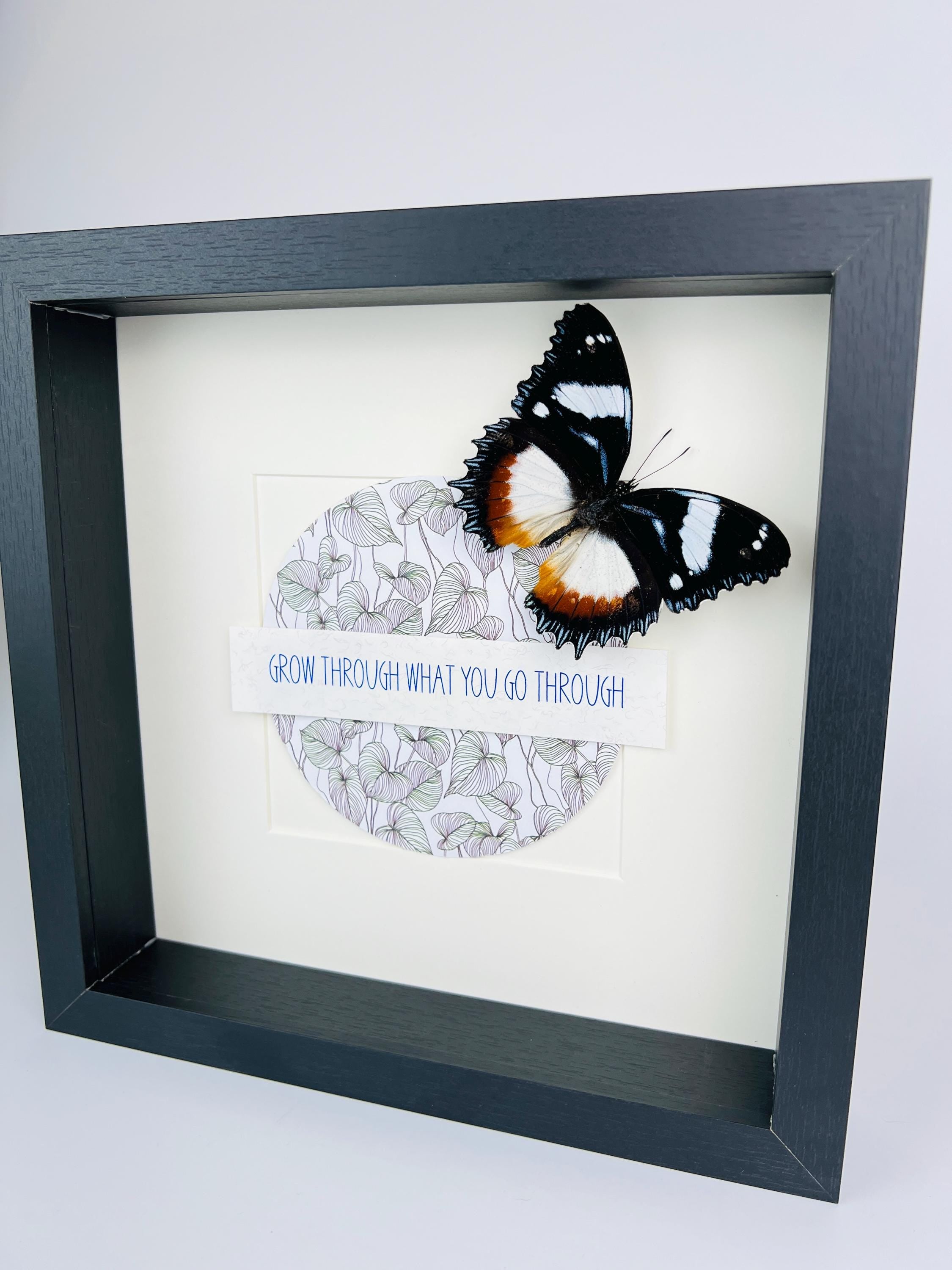 Hypolimnas Dexithea met tekst in lijst