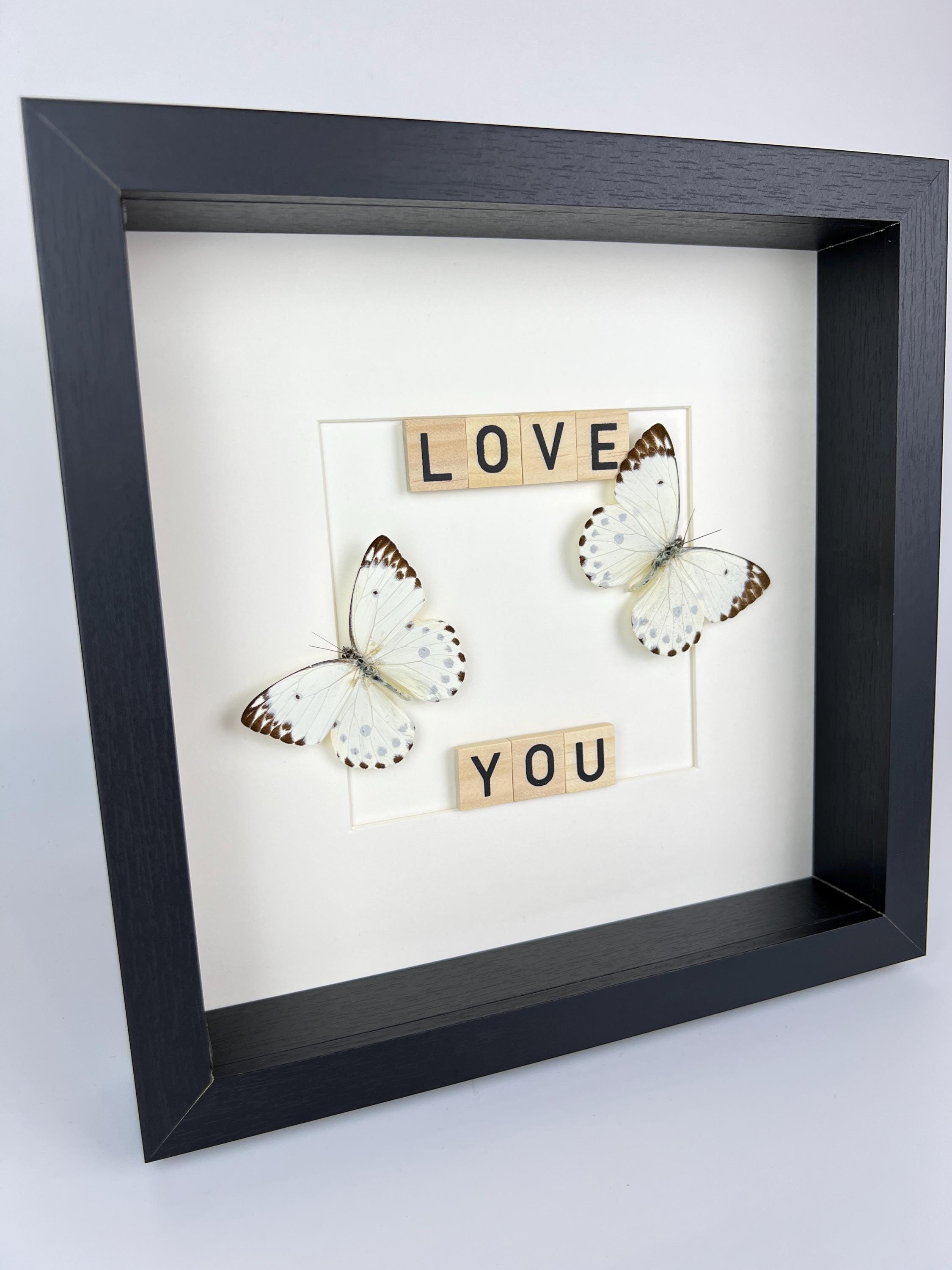 Hebemoia Leucippe-Schmetterling im Rahmen