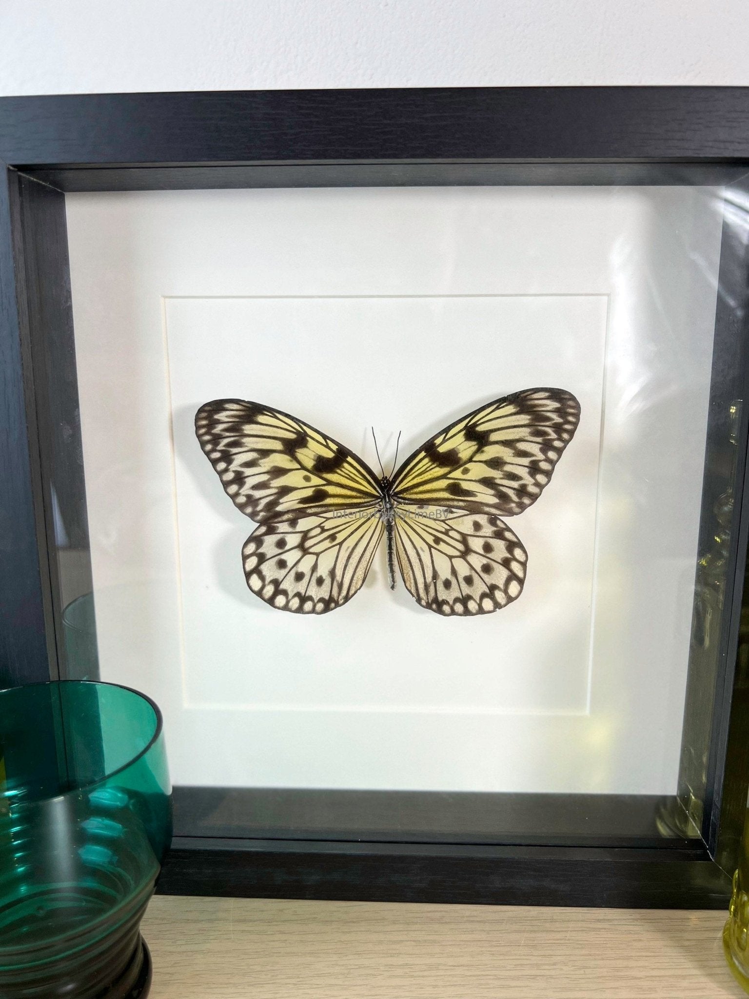 Idea Leuconoe in lijst by KEY LIME STORE