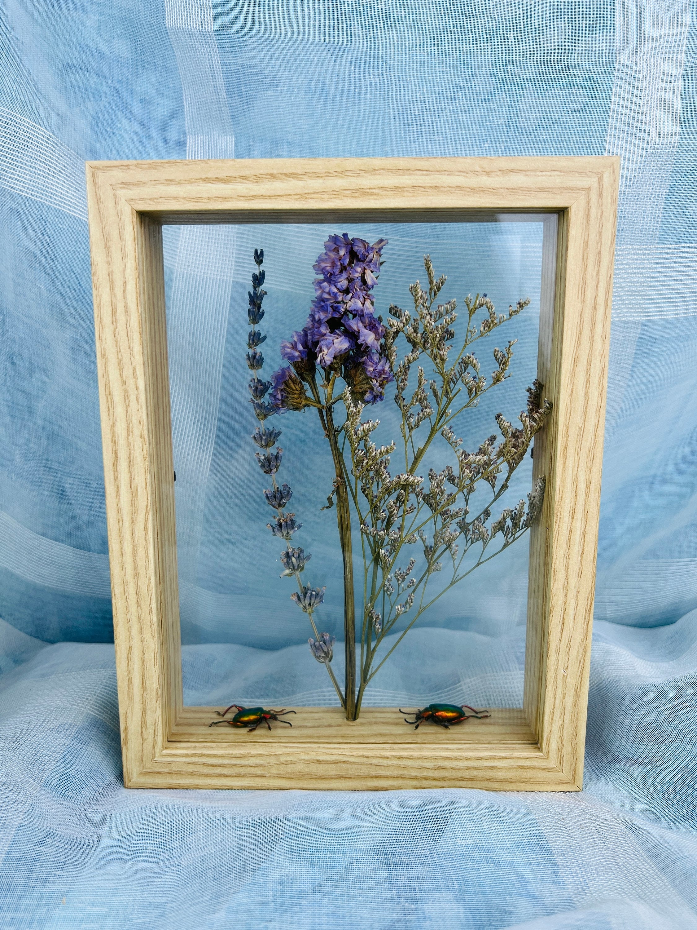 Echte insecten | Dubbelglas houten lijst met kevers en droogbloemen (22x17cm)