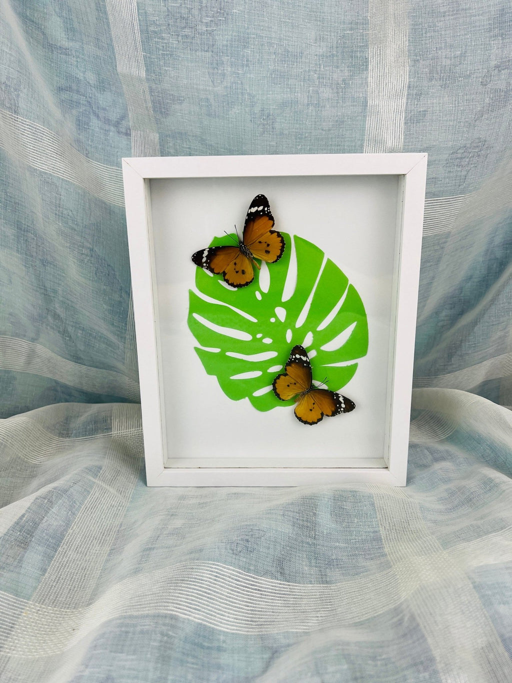 „Danaus Chrysippus“ auf Monstera-Druck, gerahmt von KEY LIME STORE
