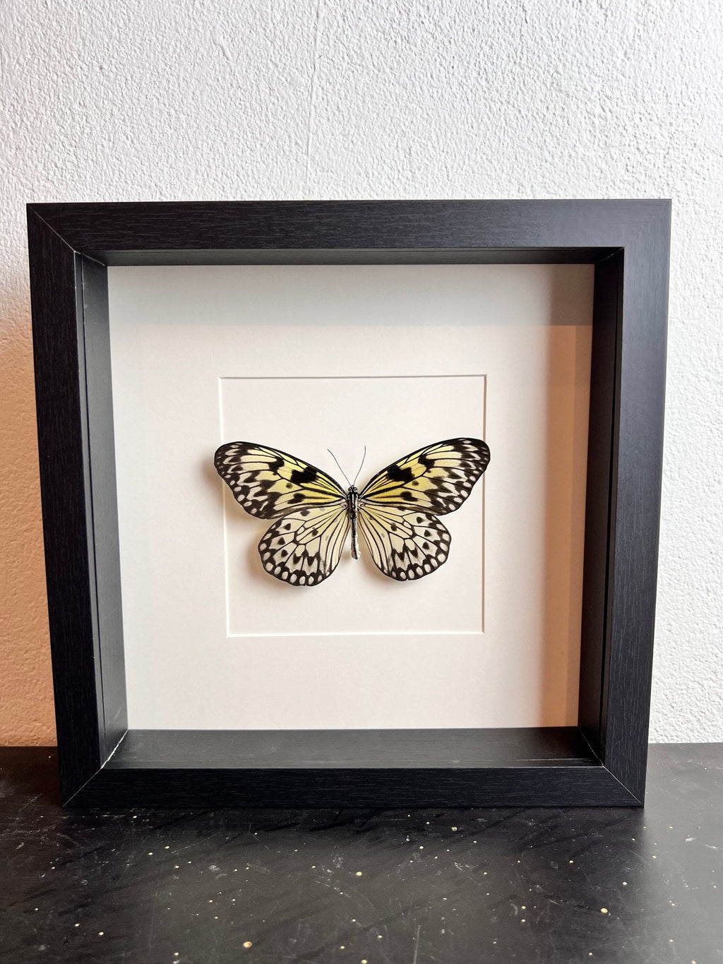 Idea Leuconoe in einem Rahmen von KEY LIME STORE