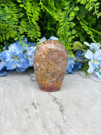a close-up view of a rock with a speckled surface, surrounded by vibrant blue flowers and lush green foliage.