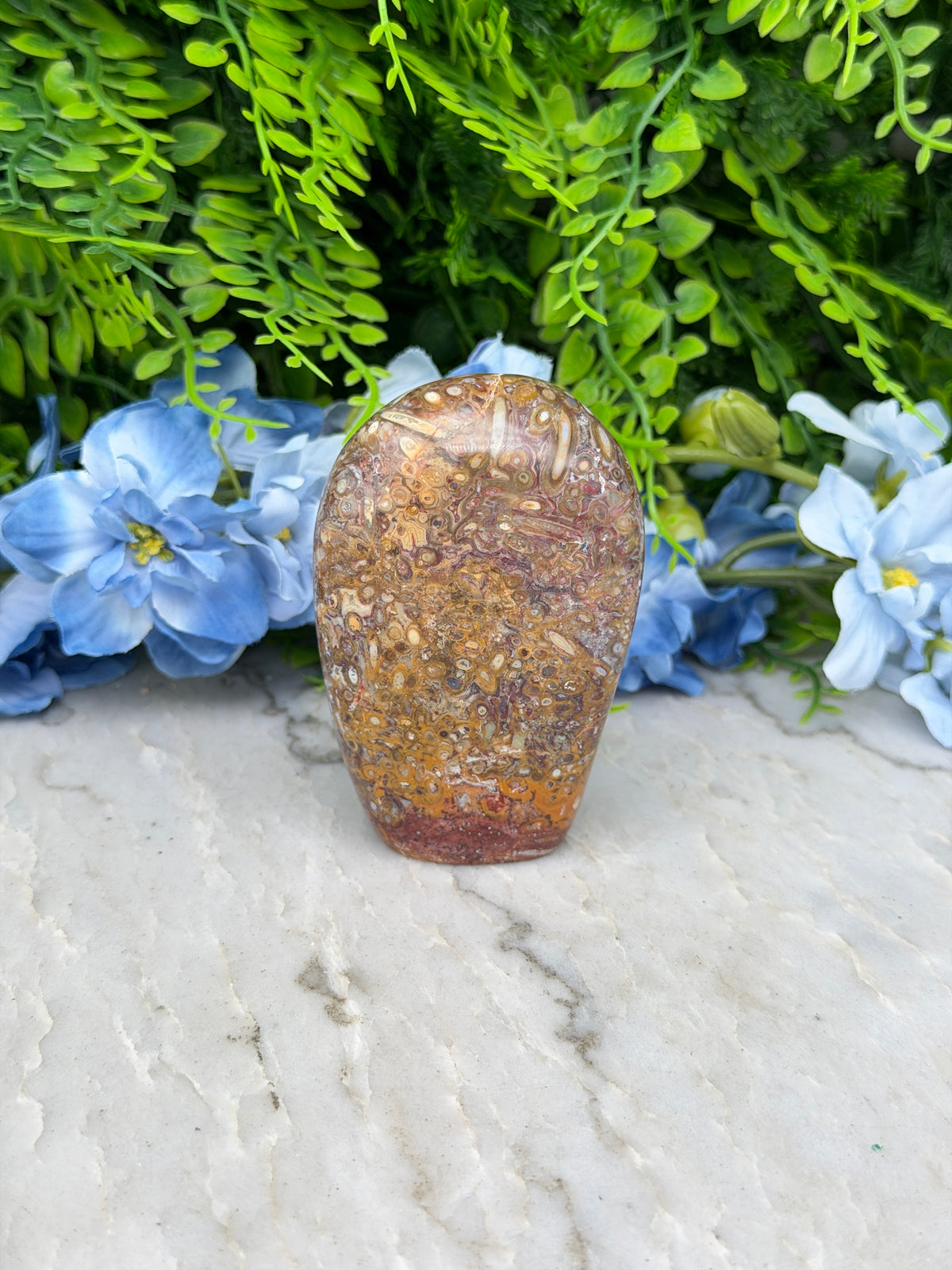 a close-up view of a rock with a speckled surface, surrounded by vibrant blue flowers and lush green foliage.
