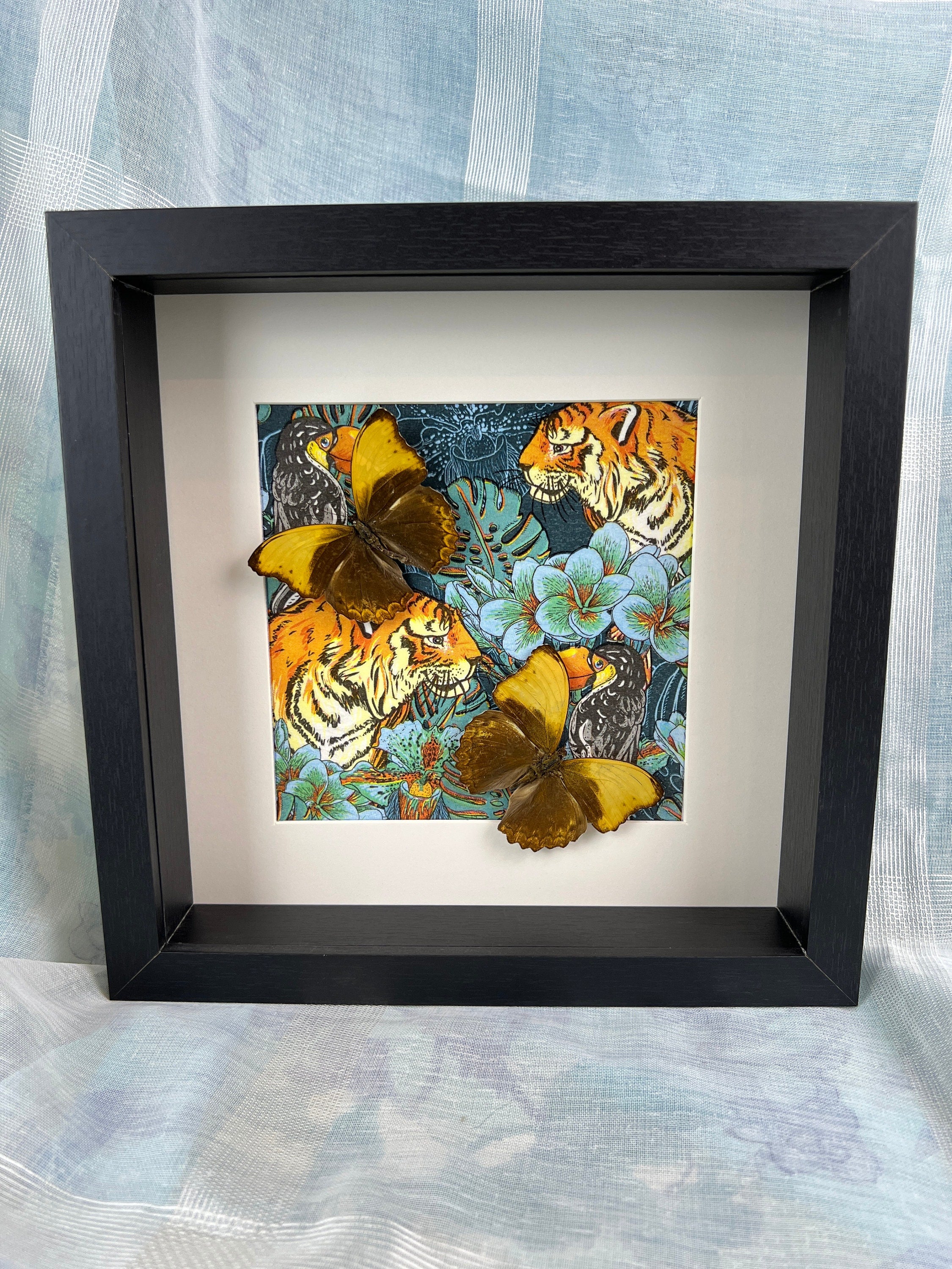 Cymothoe Haynac op print in lijst