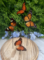three butterflies with orange and black wings, arranged on a wooden stand against a backdrop of green foliage and blue flowers.