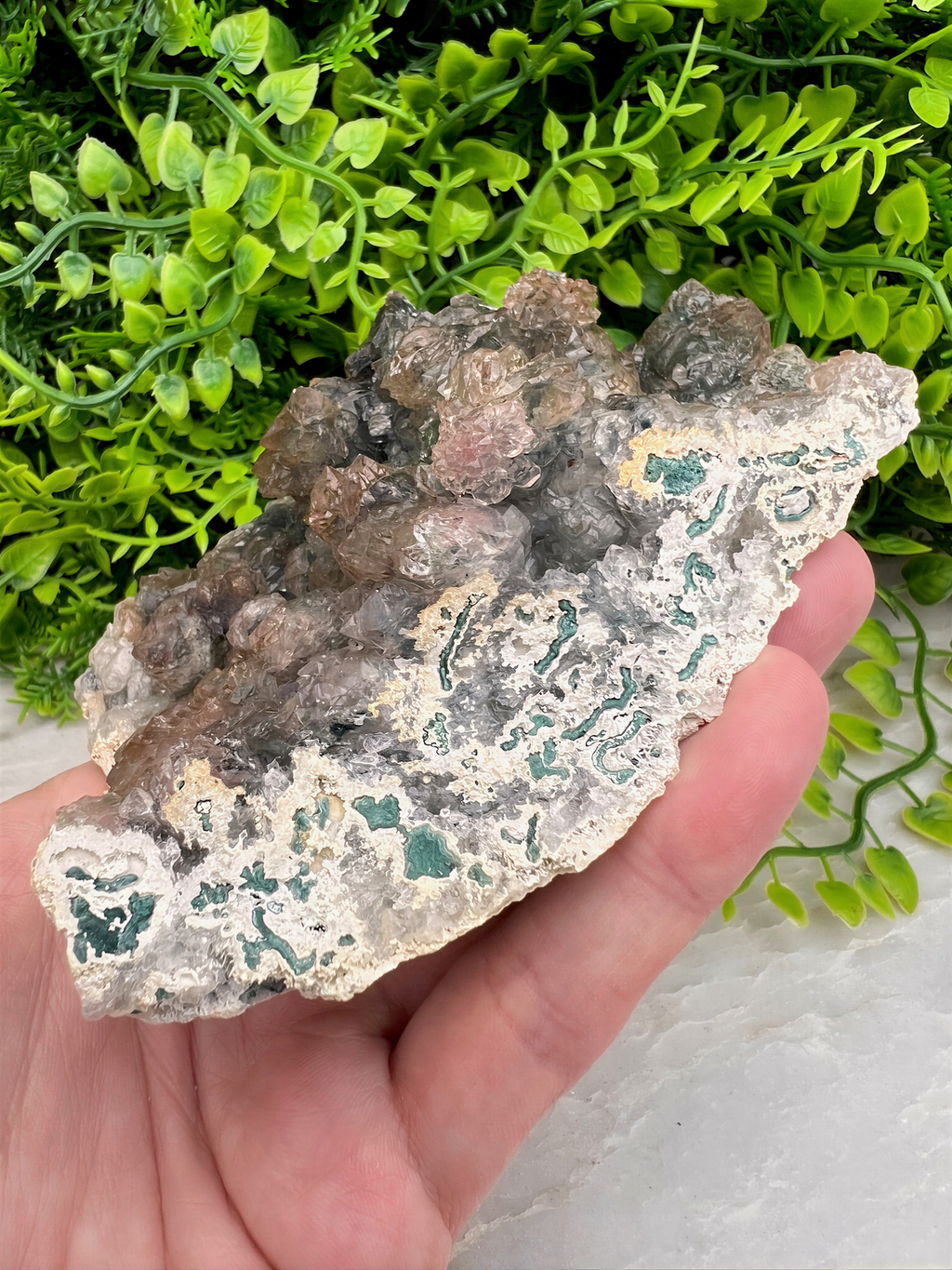 A hand is holding a piece of rock with a green and brown coloration, set against a backdrop of green foliage.