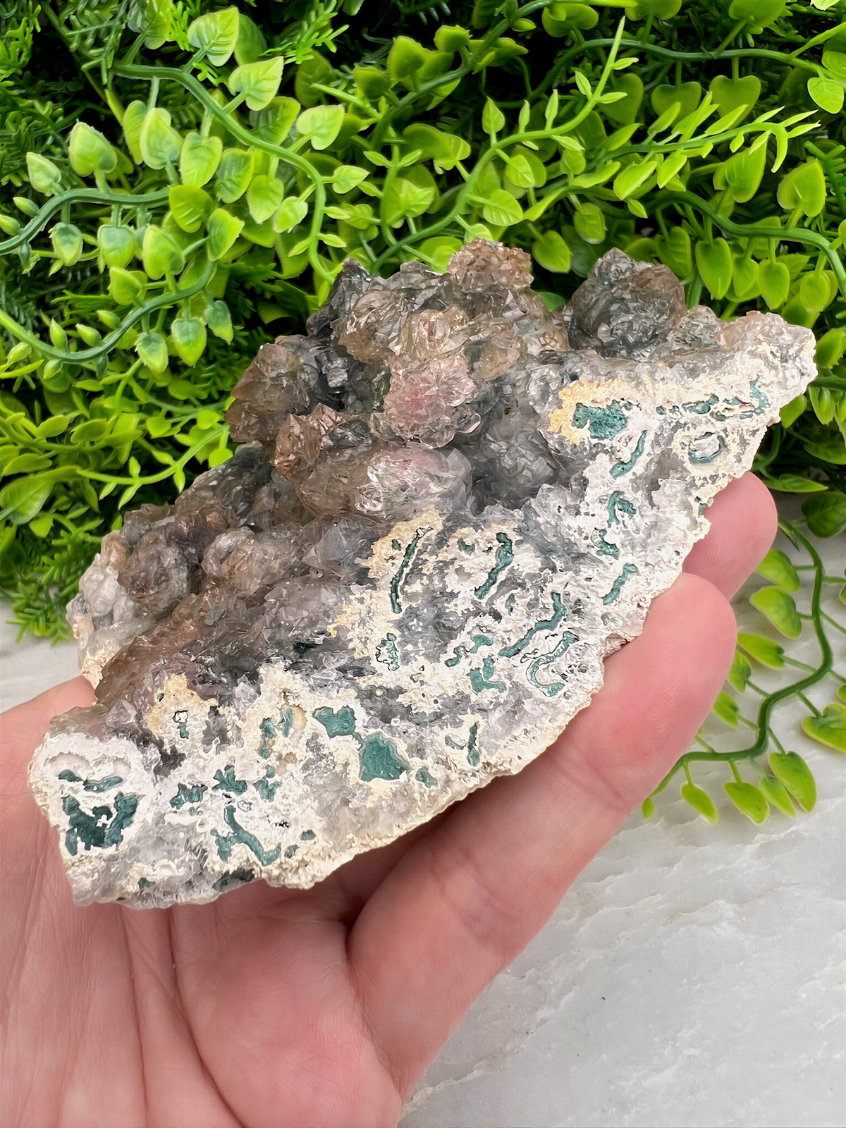 A hand is holding a piece of rock with a green and brown coloration, set against a backdrop of green foliage.