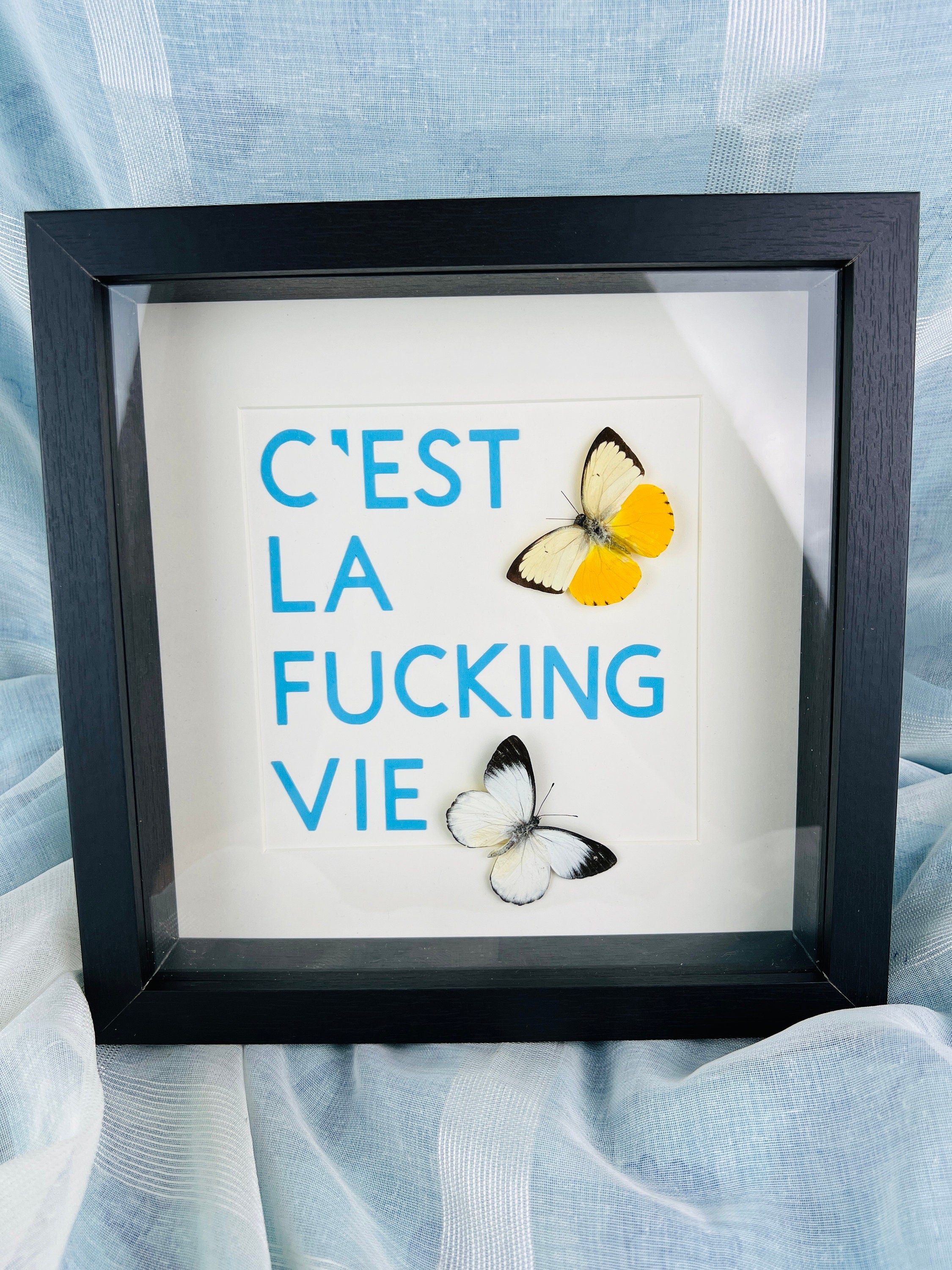 Vlinders met tekst in lijst