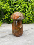 Oceaan Jaspis paddenstoel (8 cm)
