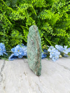 A close-up view of a green rock with a small amount of moss growing on it, set against a backdrop of lush green foliage and delicate blue flowers.