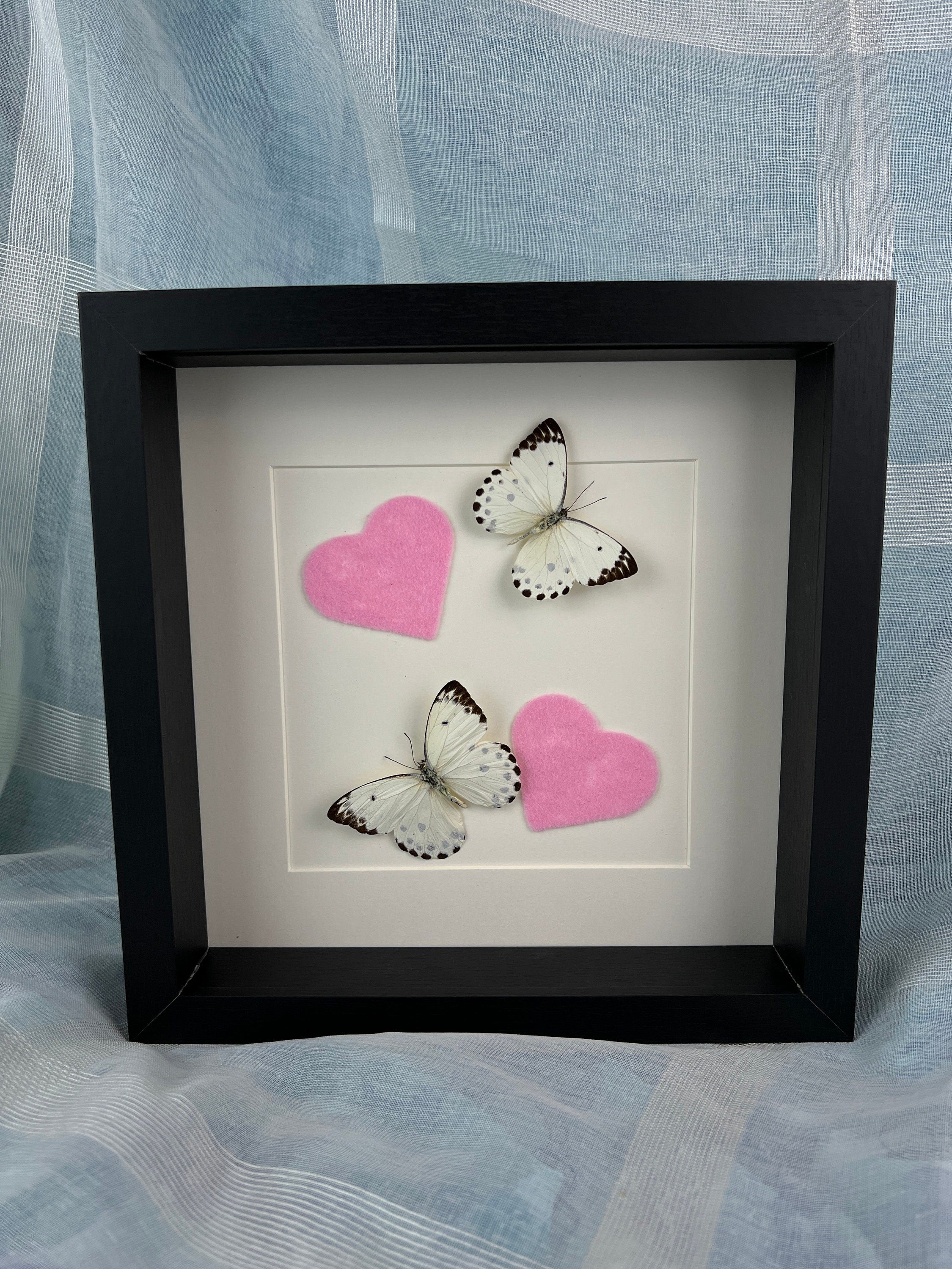 Belenois Calypso und rosa Filzherzen im Rahmen