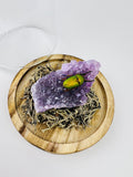 Schillernder Käfer auf einem Amethyst unter einer Glasglocke von KEY LIME STORE