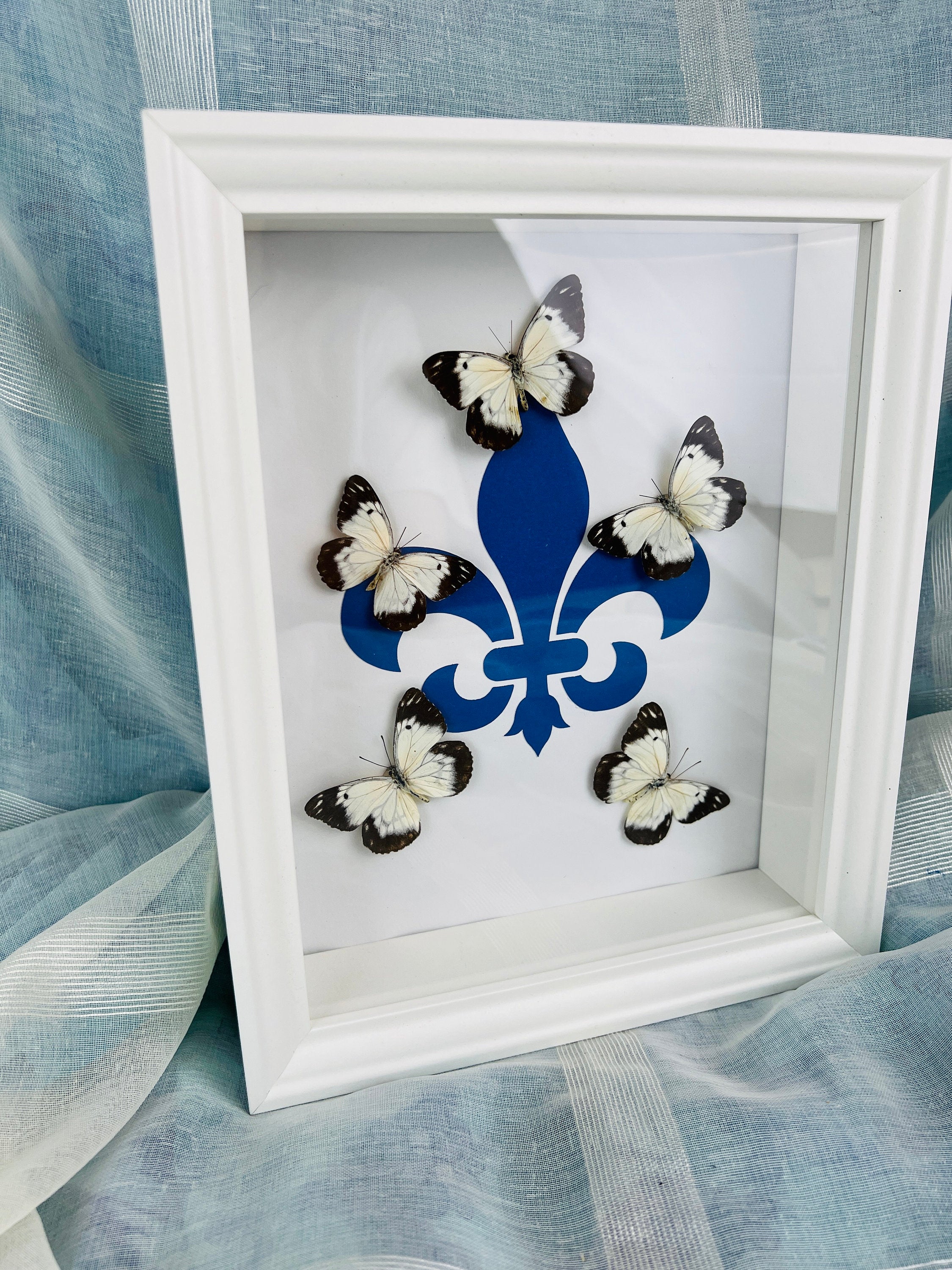 Echte vlinders | Belenois op Fleur de Lis print in lijst (28x23cm)