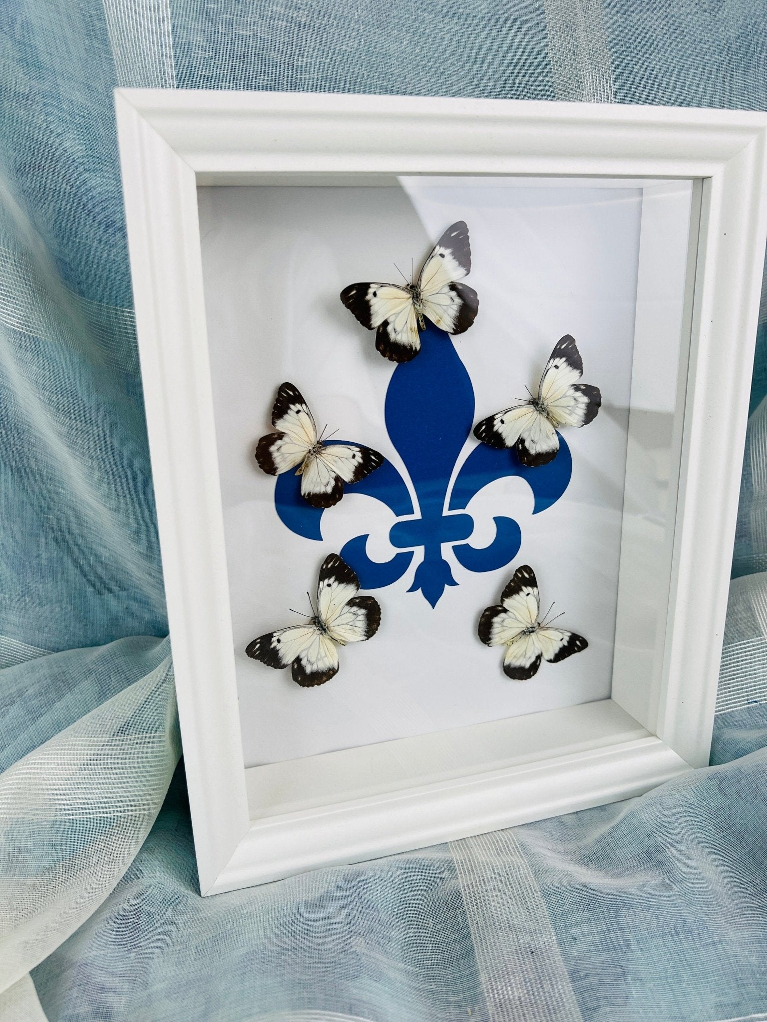 „Belenois“ mit „Fleur de Lis“-Motiv, gerahmt von KEY LIME STORE