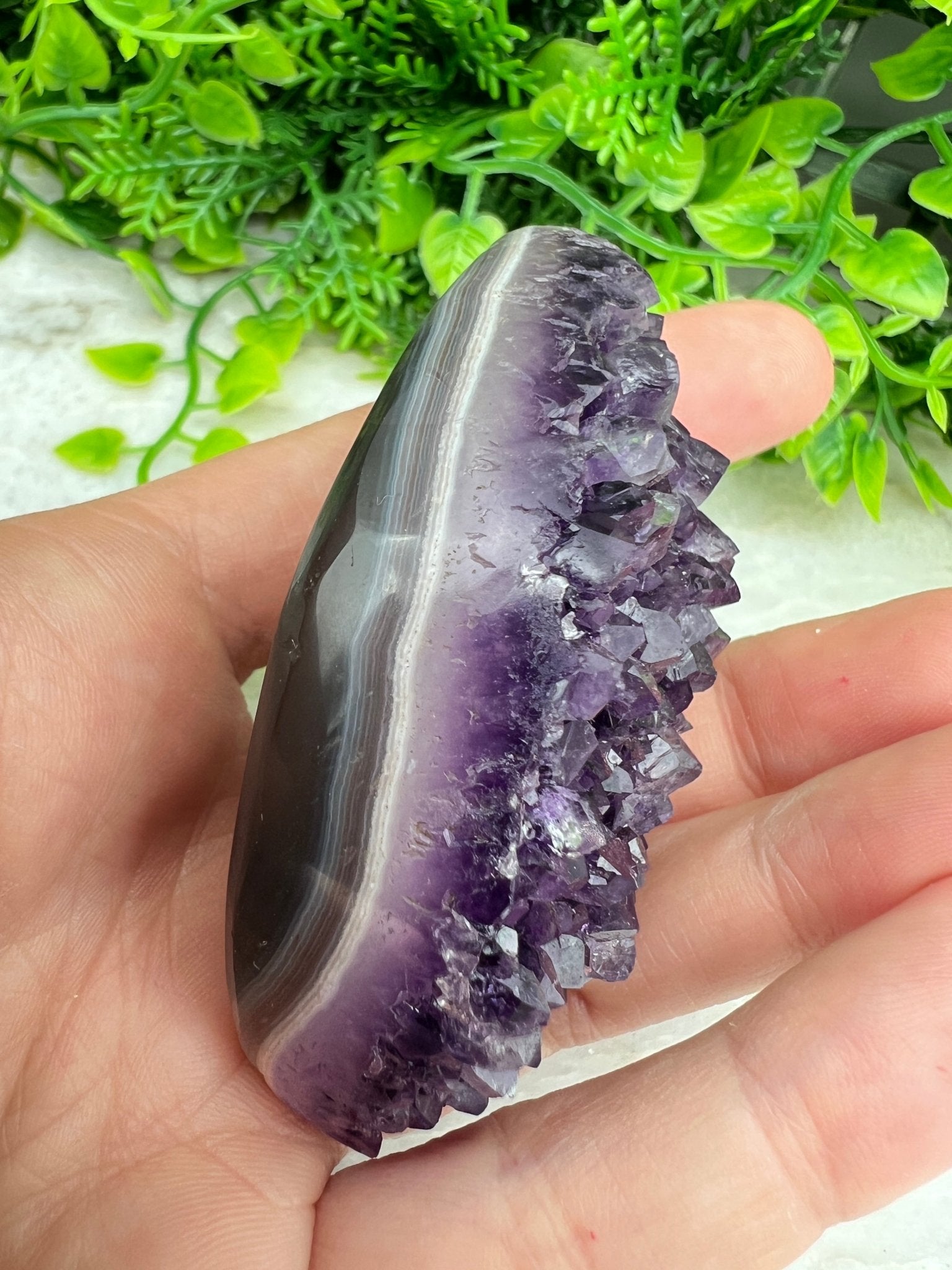 Amethyst, elliptisch (6 cm) von KEY LIME STORE