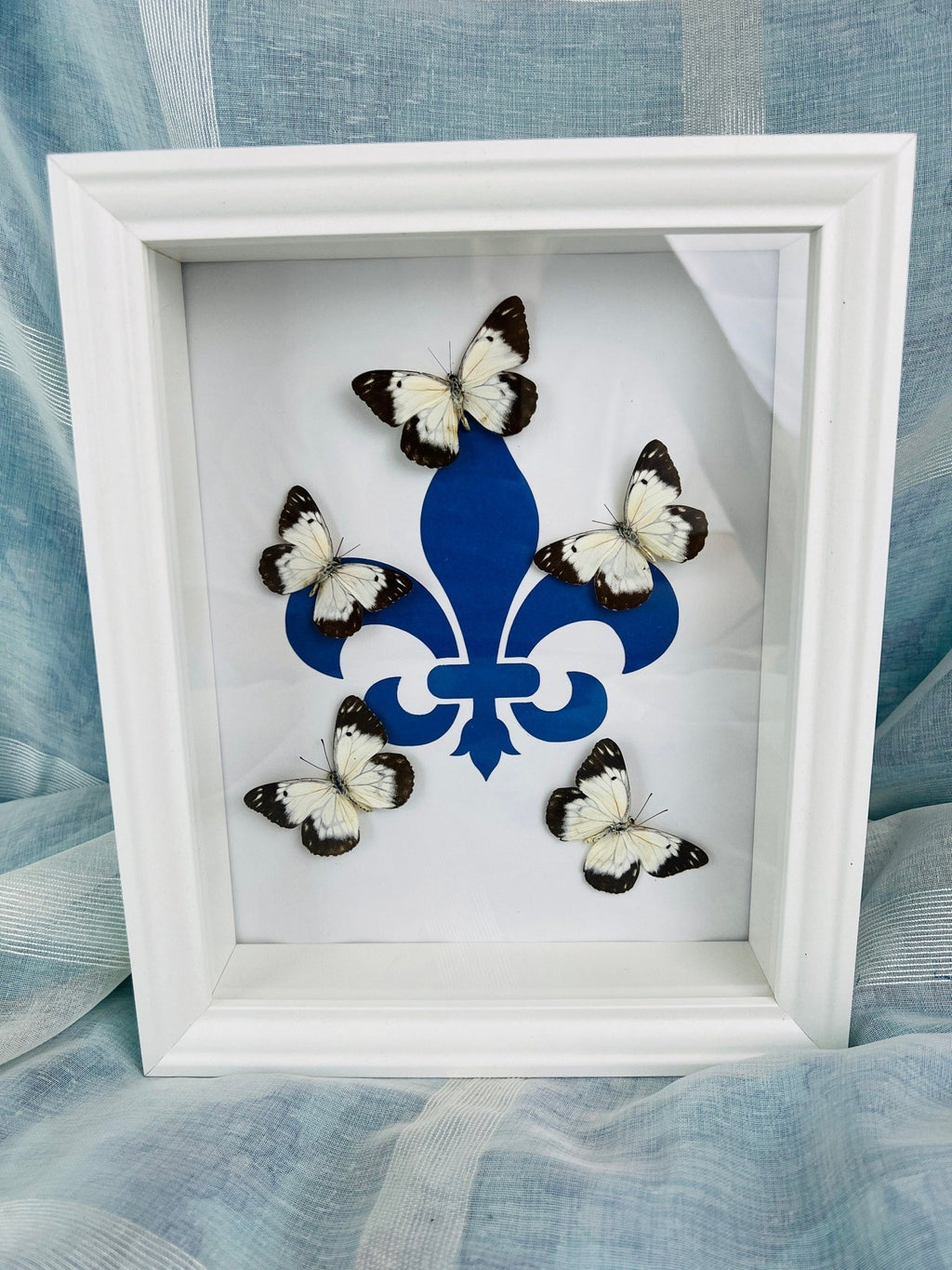 „Belenois“ mit „Fleur de Lis“-Motiv, gerahmt von KEY LIME STORE