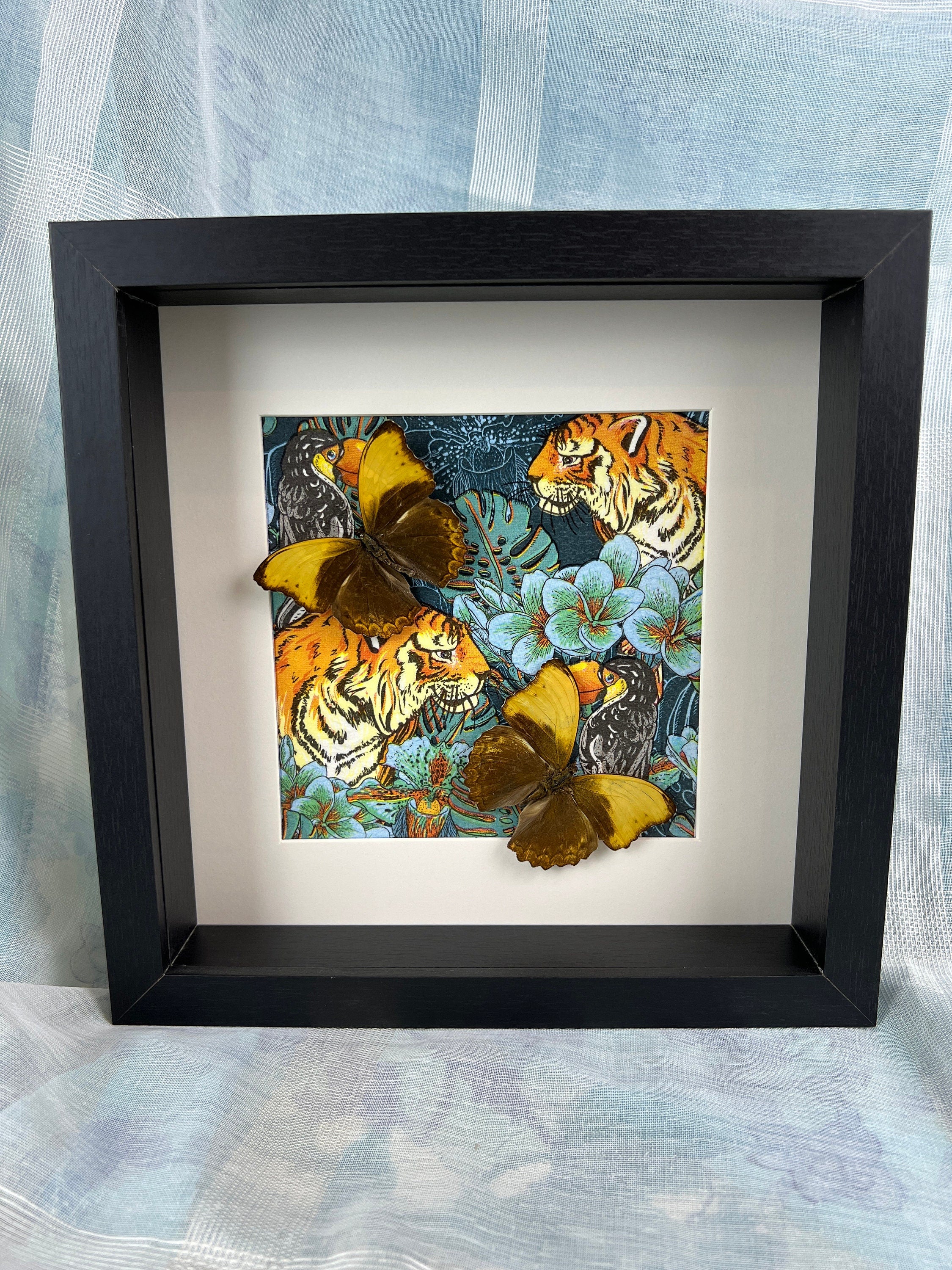 Cymothoe Haynac op print in lijst