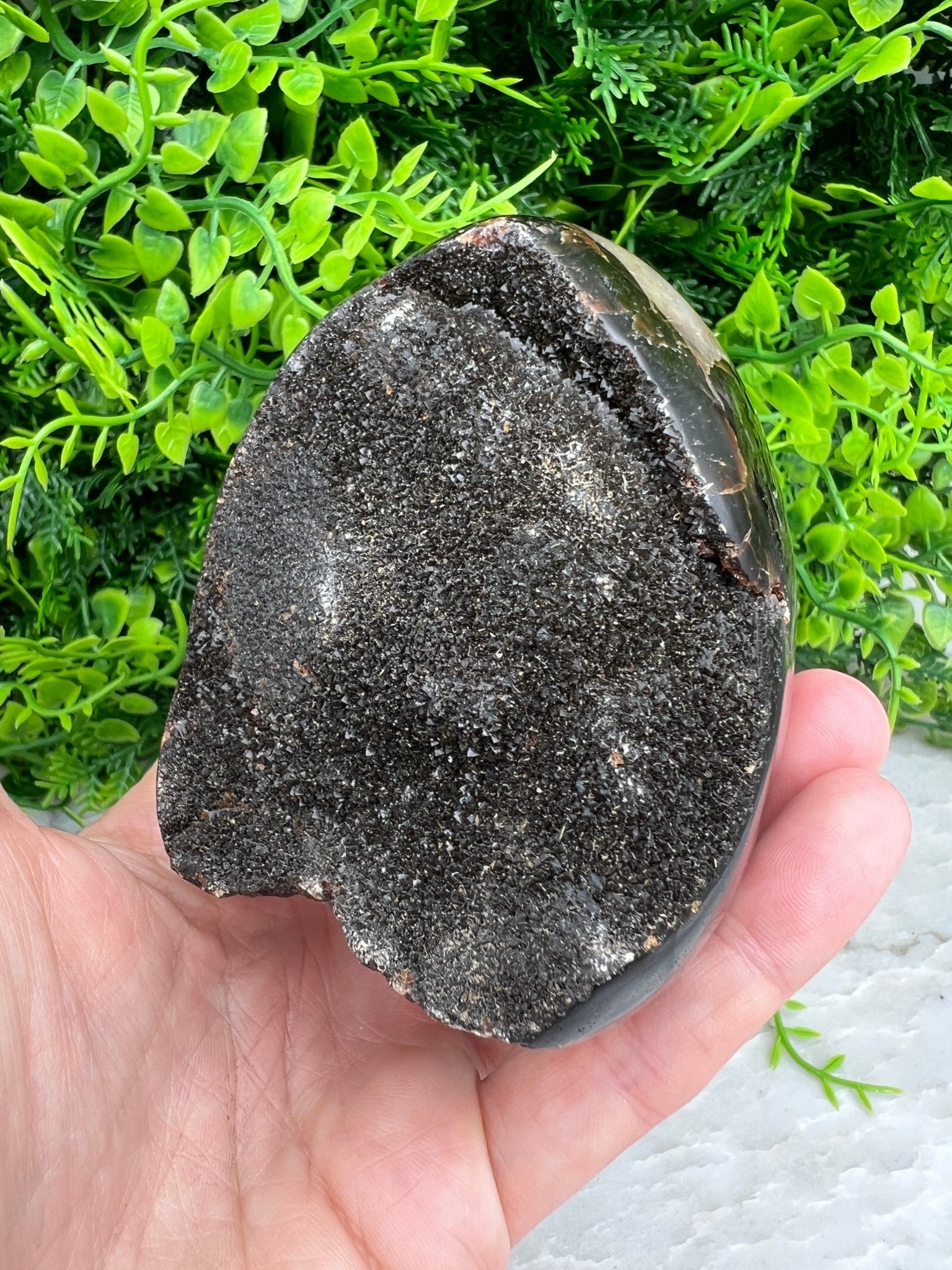 Druzy-Septarie, eiförmig geschliffen, mit Sockel (532 Gramm) von KEY LIME STORE