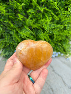 A hand holding a heart-shaped rock against a backdrop of lush green foliage.