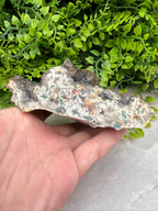 A hand is holding a piece of rock with a greenish hue, set against a backdrop of lush green foliage.
