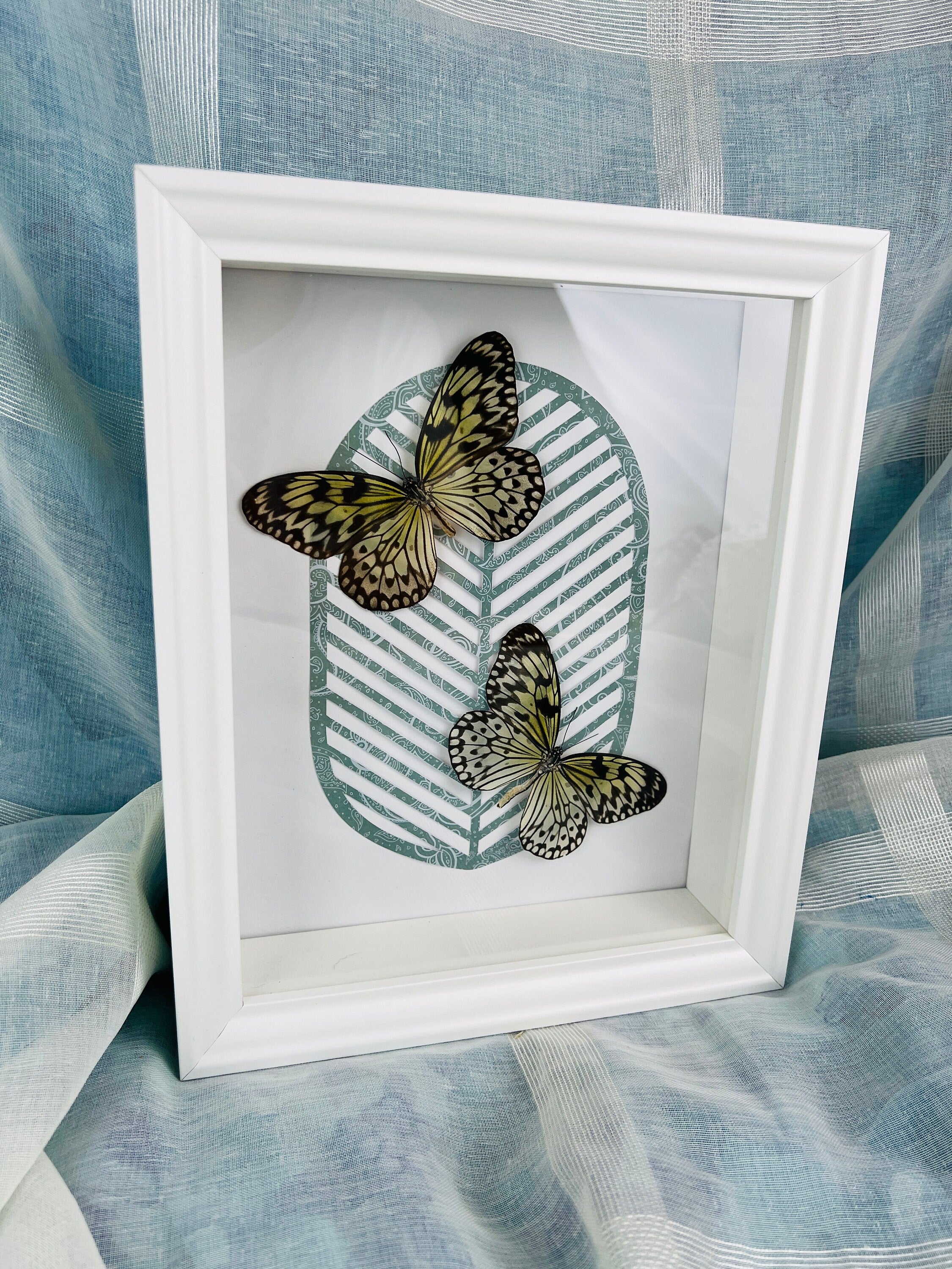 Idea Leuconoe op print in lijst