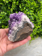 Amethist cluster pine by KEY LIME STORE