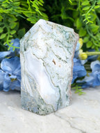 a large, jagged, and textured stone with a unique pattern, set against a backdrop of lush green foliage and delicate blue flowers.