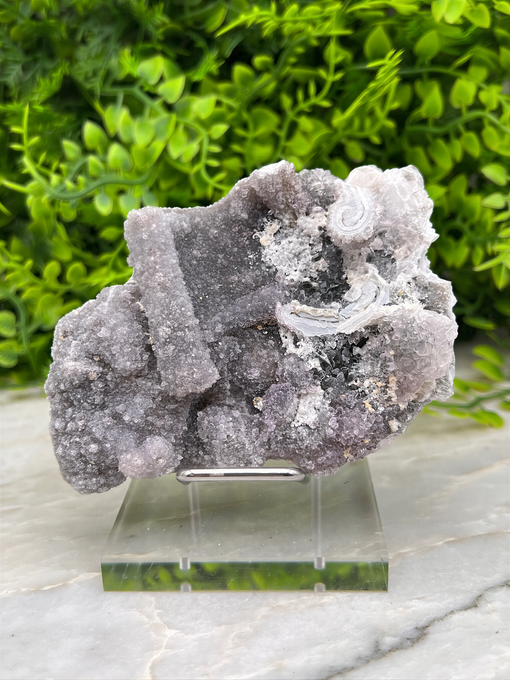 a clear glass display case holding a large piece of purple crystal, which appears to be a type of quartz or amethyst. The crystal is surrounded by a variety of green plants, creating a visually appealing contrast between the natural and man-made elements.