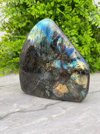 Labradoriet sculptuur by KEY LIME STORE