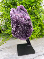 Amethist cluster op standaard - hoge kwaliteit by KEY LIME STORE