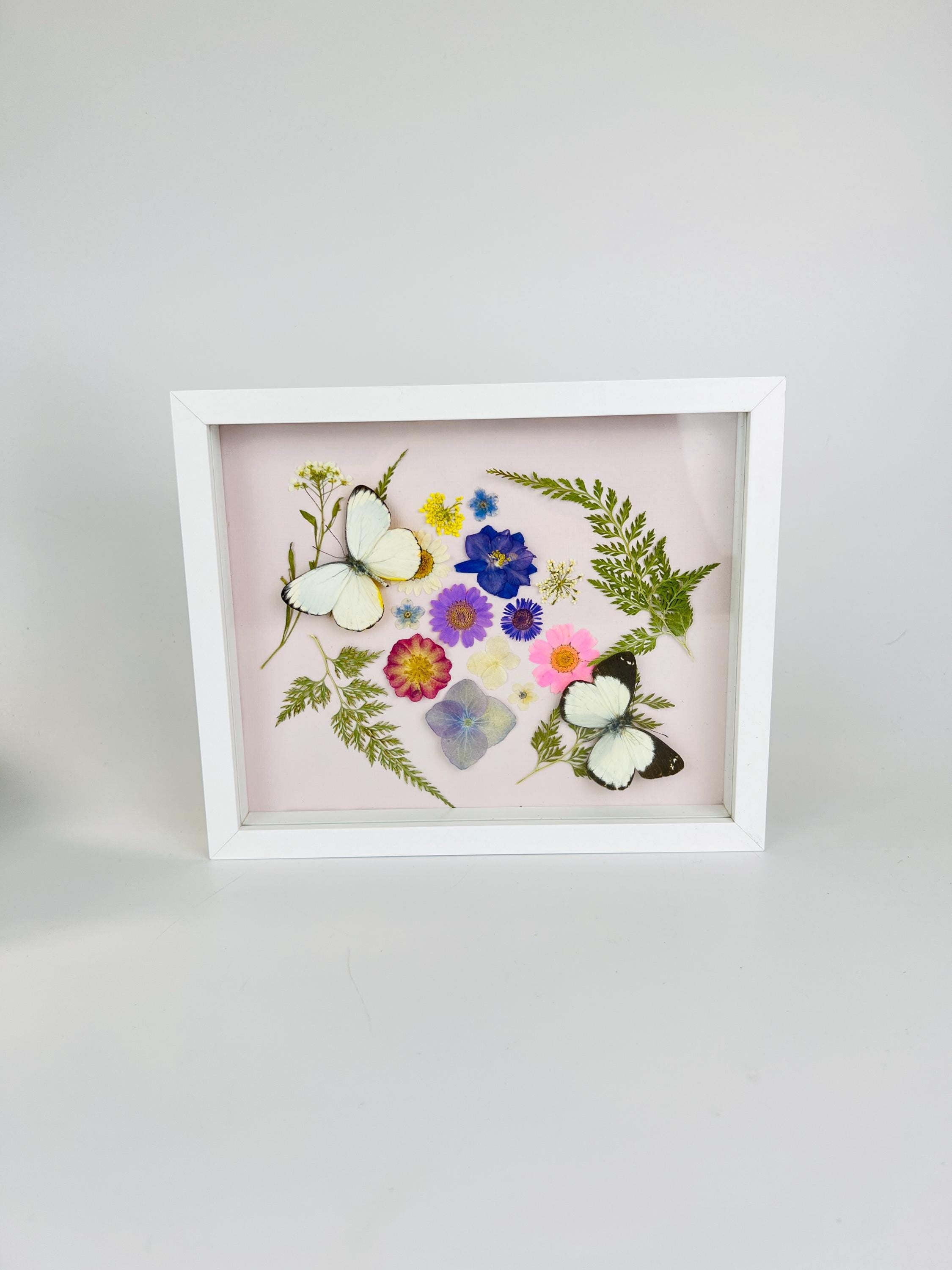 Weiße Schmetterlinge mit Trockenblumen in einem Rahmen