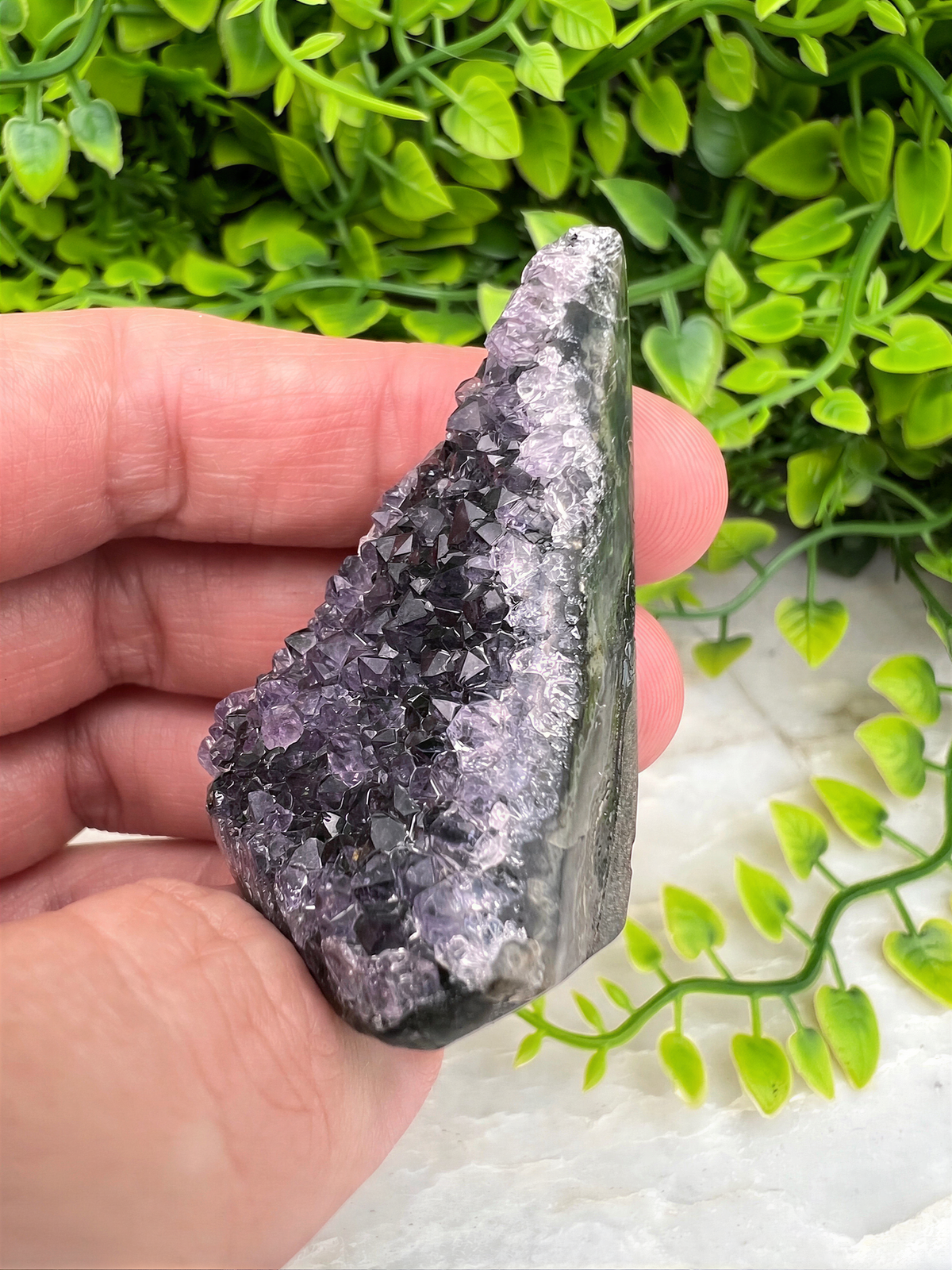 A hand is holding a piece of purple crystal against a backdrop of green foliage.