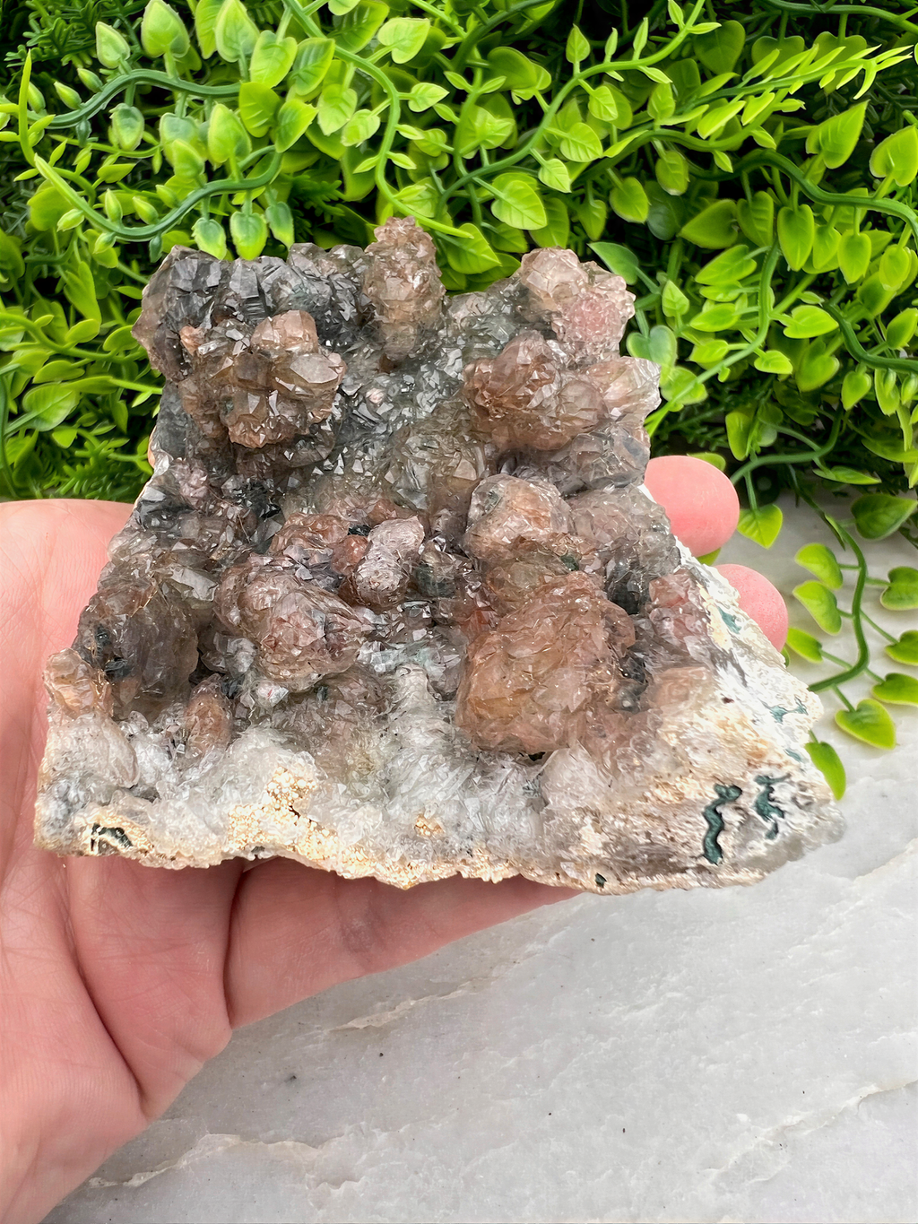 A hand is holding a piece of rock with a crystal-like formation, set against a backdrop of green foliage.