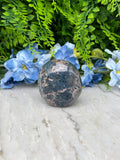 a close-up view of a blue flower and a rock, with the rock positioned in the center of the frame.