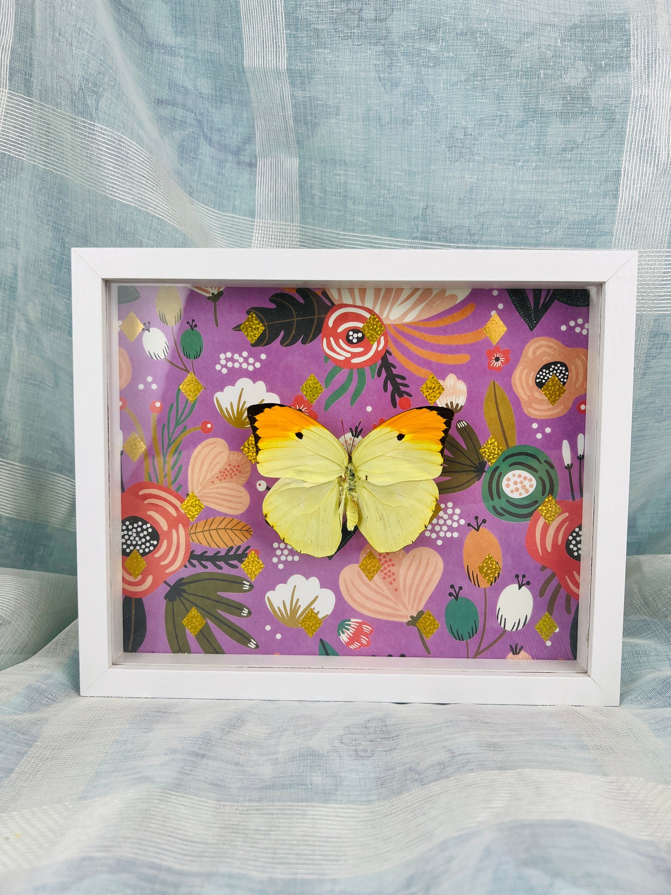 Echte vlinder | Anteos Menippe op print in lijst (23x19cm)