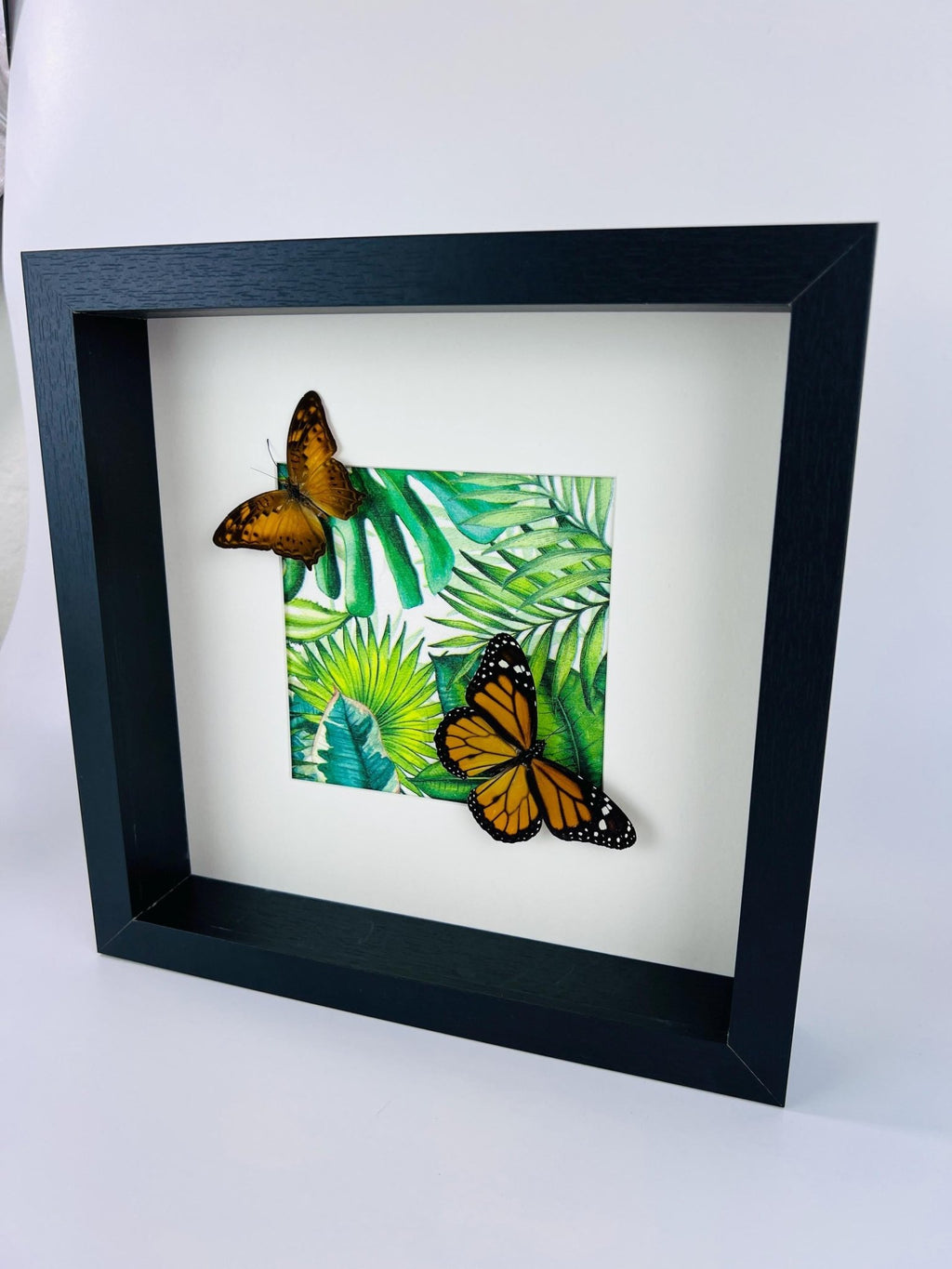 Vagrans Egista und Danaus Plexippus im Rahmen von KEY LIME STORE