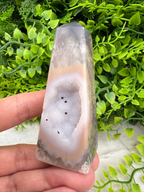 A hand holding a clear geode with a slice of it visible, set against a background of green foliage.