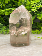 A clear quartz crystal rests on a white surface, surrounded by lush green foliage.