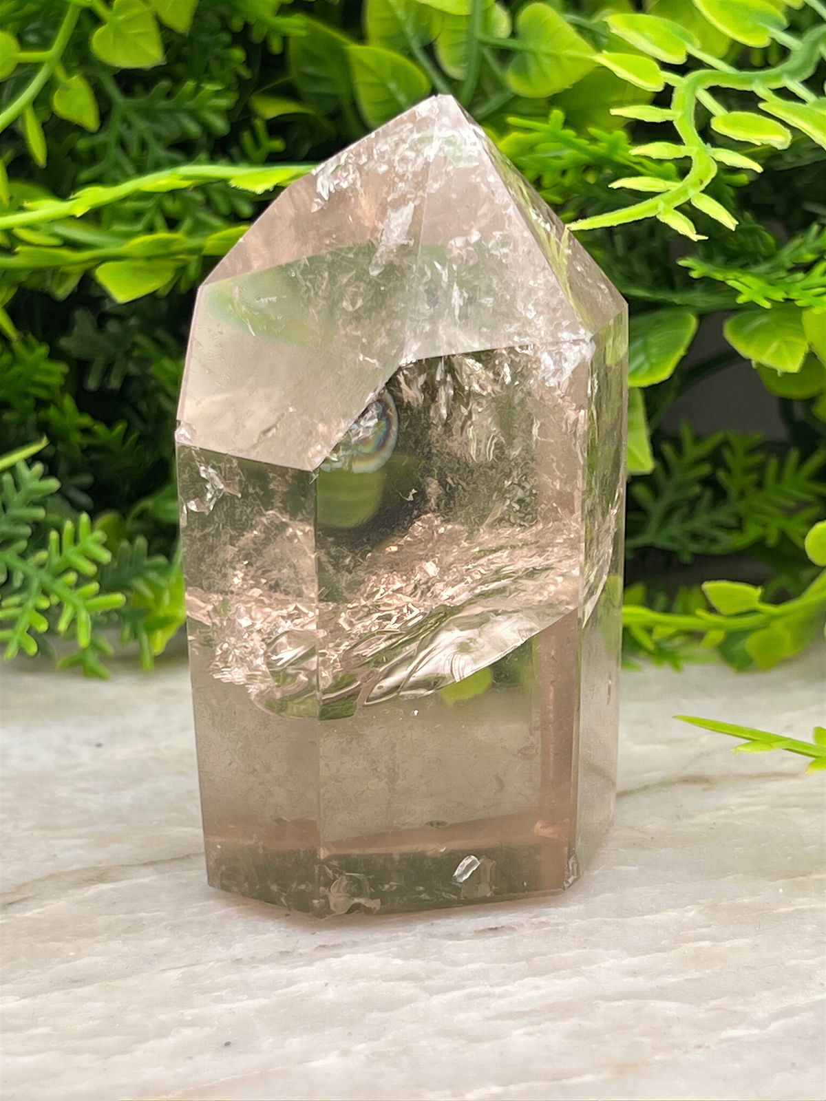 A clear quartz crystal rests on a white surface, surrounded by lush green foliage.