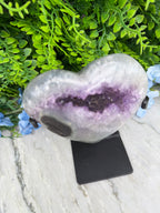 a purple amethyst crystal surrounded by green foliage and blue flowers, with a black object placed next to it on a white surface.